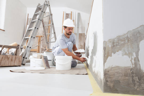 Trusted Lake Catherine, IL Dry wall and painting Experts